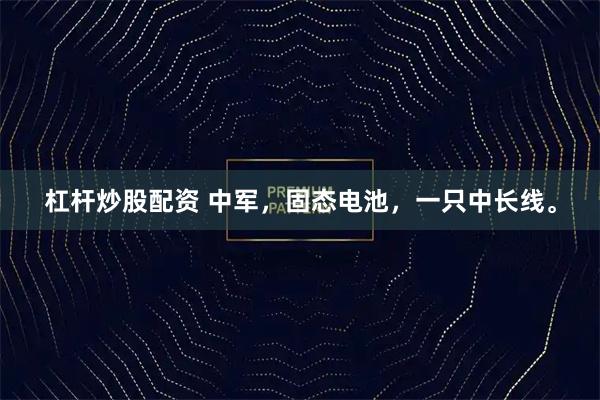 杠杆炒股配资 中军，固态电池，一只中长线。