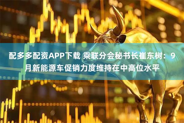 配多多配资APP下载 乘联分会秘书长崔东树：9月新能源车促销力度维持在中高位水平