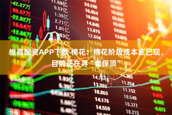 维嘉配资APP下载 棉花：棉花阶段成本底已现，目前正在寻“套保顶”
