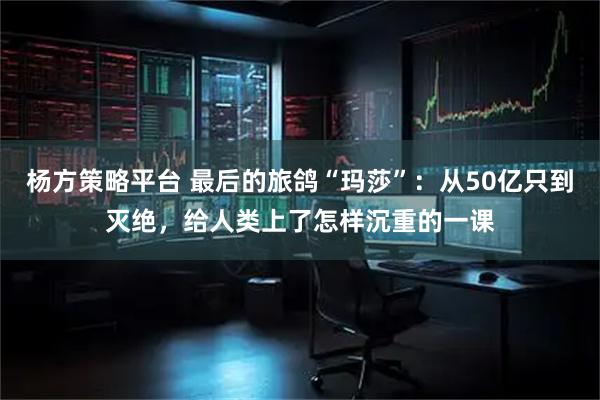 杨方策略平台 最后的旅鸽“玛莎”：从50亿只到灭绝，给人类上了怎样沉重的一课