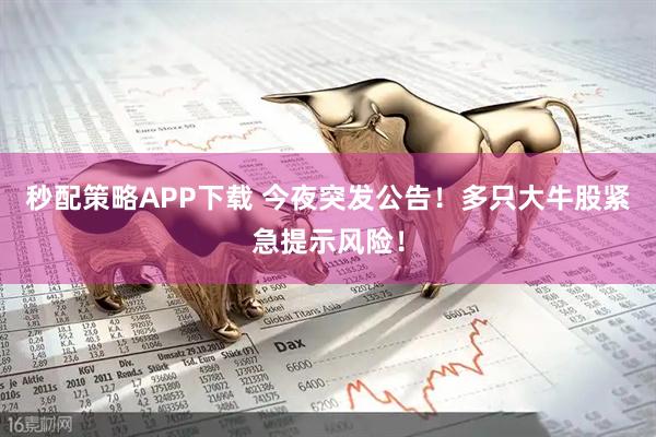 秒配策略APP下载 今夜突发公告！多只大牛股紧急提示风险！