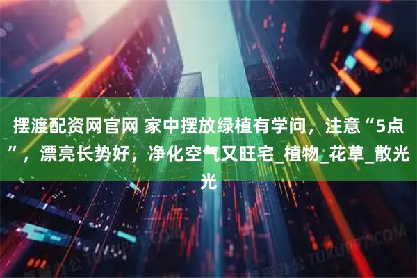 摆渡配资网官网 家中摆放绿植有学问，注意“5点”，漂亮长势好，净化空气又旺宅_植物_花草_散光