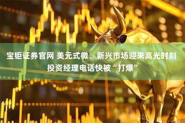 宝钜证券官网 美元式微、新兴市场迎来高光时刻 投资经理电话快被“打爆”