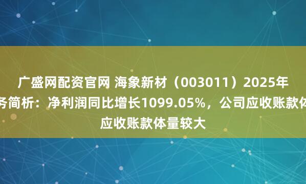 广盛网配资官网 海象新材（003011）2025年中报财务简析：净利润同比增长1099.05%，公司应收账款体量较大